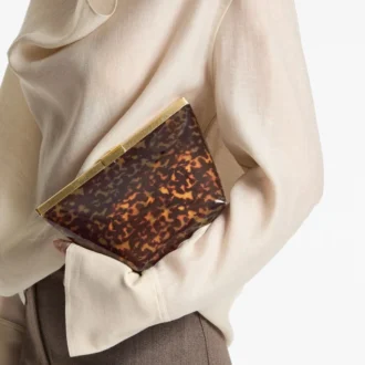 Bolso de mano Ganache transparente en carey