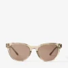 Gafas de sol Trace marrones transparentes con montura Pantos Gafas de sol Trace marrones transparentes con montura Pantos