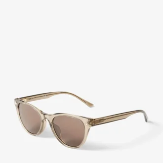 Gafas de sol Trace marrones transparentes con montura Pantos