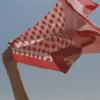 Pañuelo Sula de algodón con estampado de cuadros vichy en rojo rubí Pañuelo Sula de algodón con estampado de cuadros vichy en rojo rubí